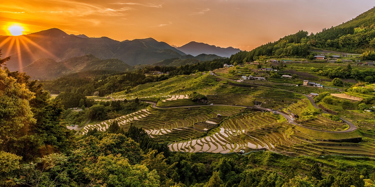 Agriculture & Food