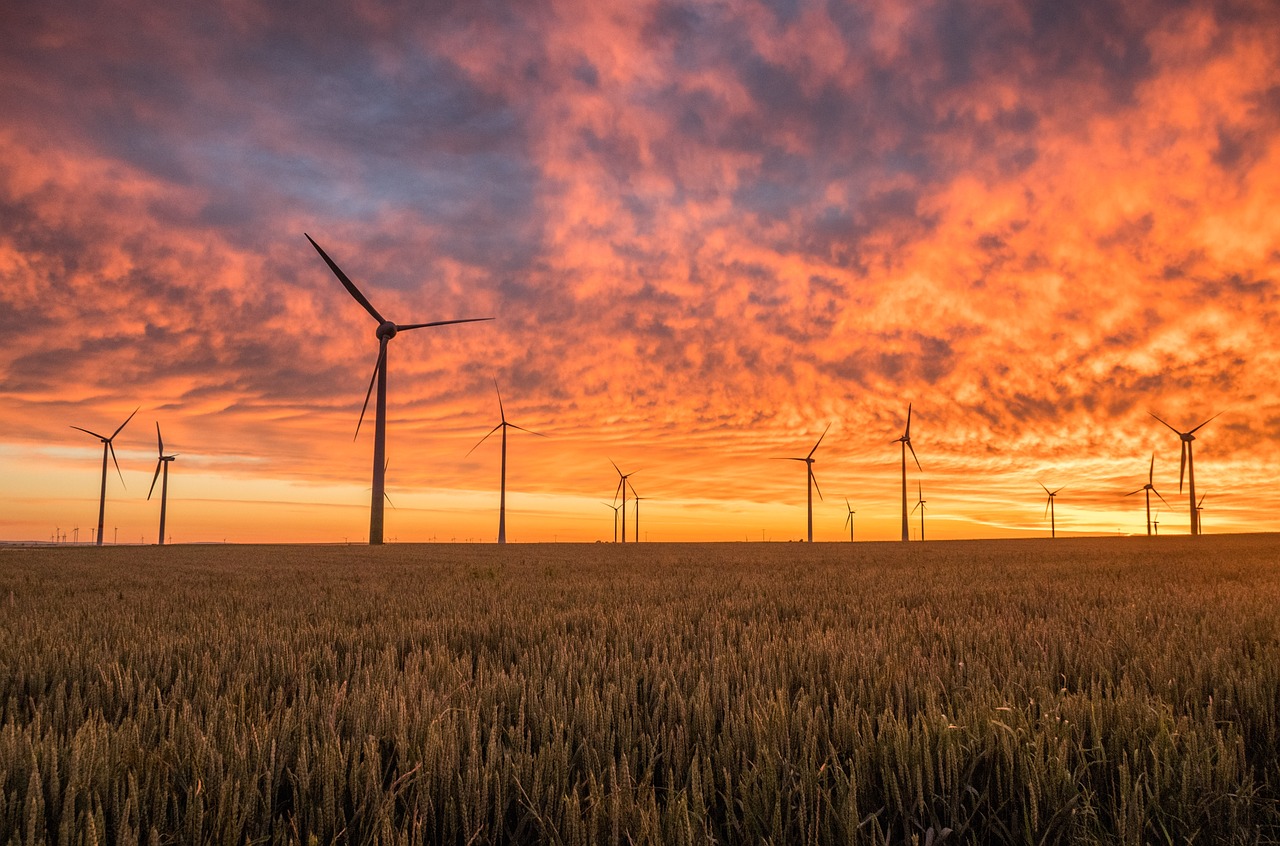 New Sustainable Energy Division Launched
